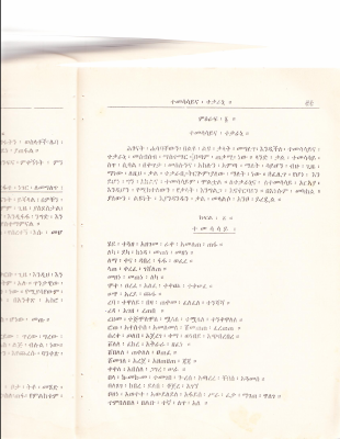 የድርሰት አብነት 3.pdf